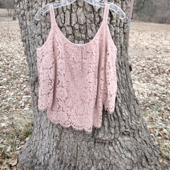 ⬇️Price Drop!⬇️White House Black Market Lace Cutout top in size M - Picture 2 of 3